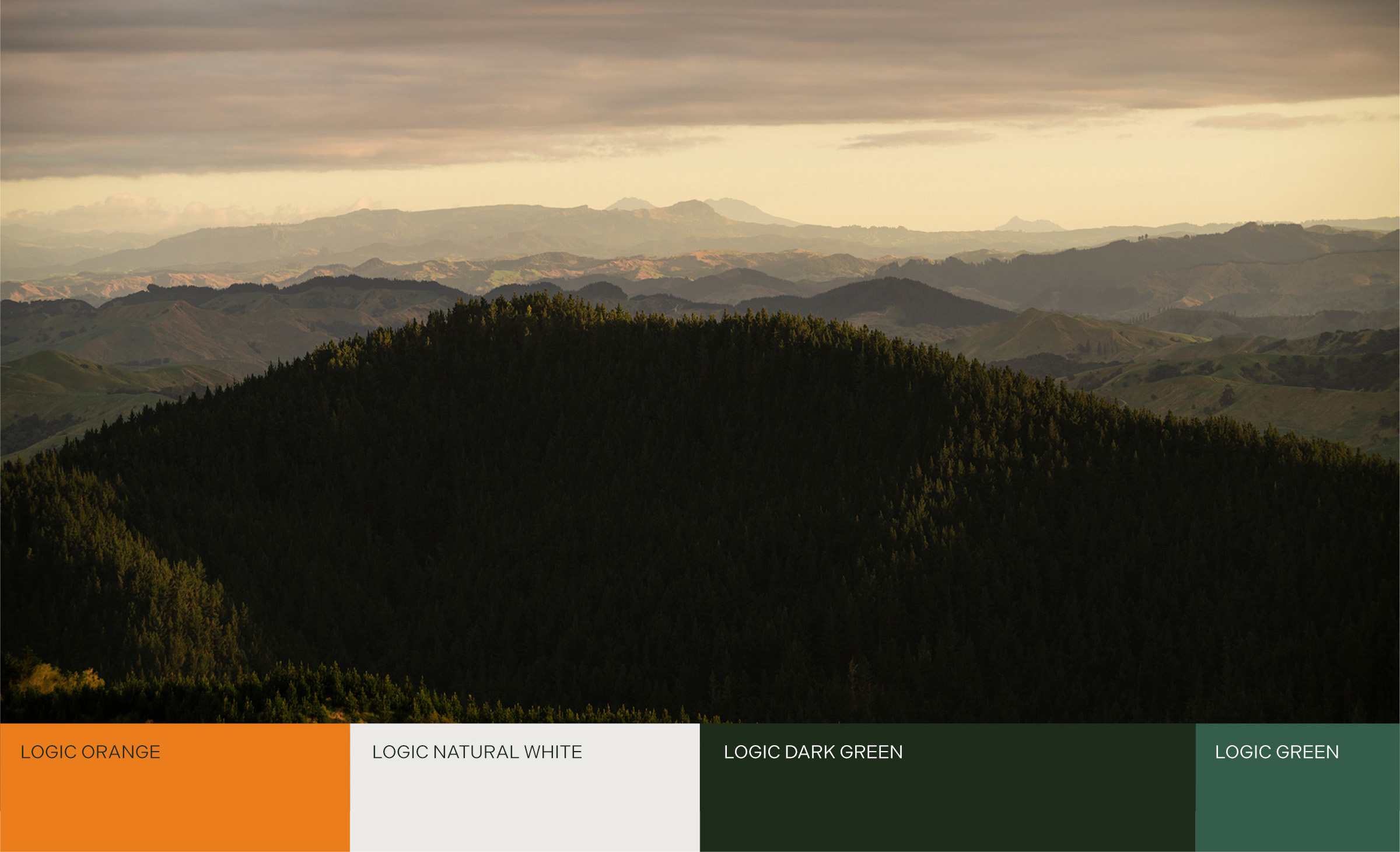 LG_Colours